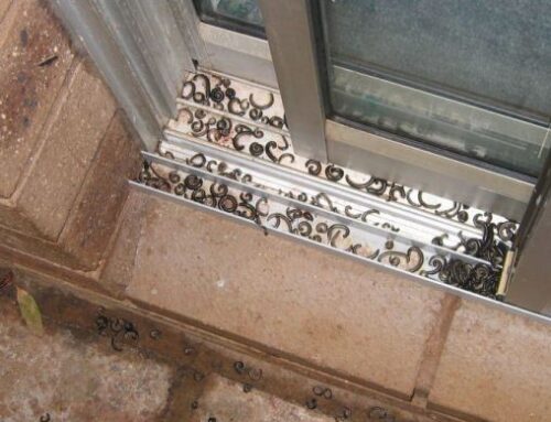 How To Spot And Treat Millipede Invaders Indoors
