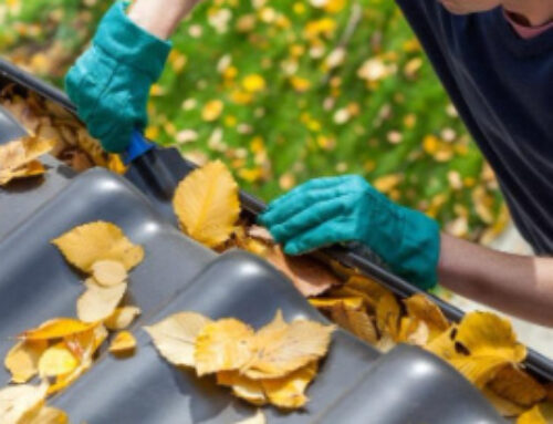 Gutter Tunnel Prevention: Keeping Wildlife Out Safely