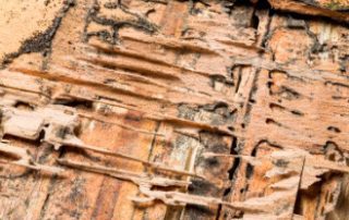 Structural Repair Damage