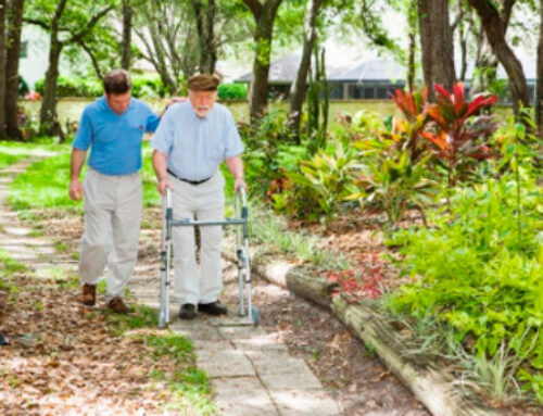 How Seasonal Change Affects Pests In Elderly Care Homes