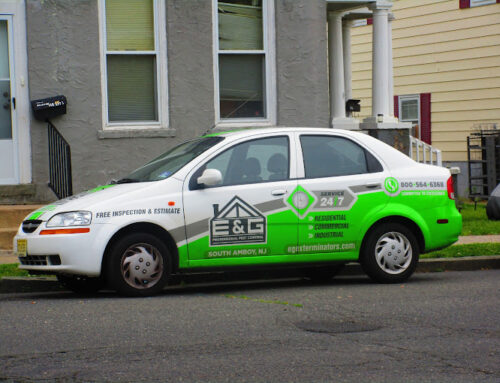 How Insulation Removal Helps Reduce Pest Harboring