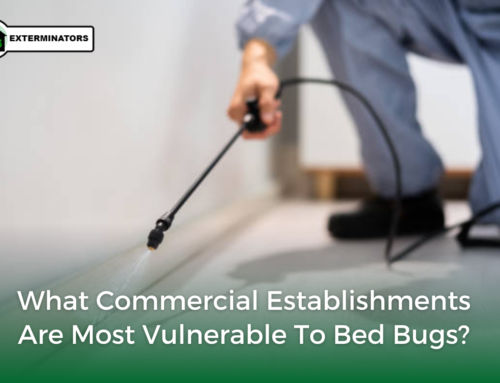 What Commercial Establishments are Most Vulnerable to Bed Bugs?