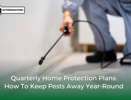 Quarterly Home Protection Plans: How to Keep Pests Away Year-Round