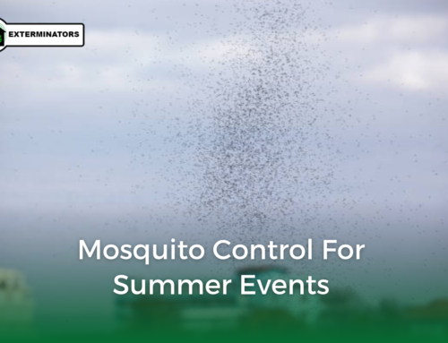 Mosquito Control for Summer Events
